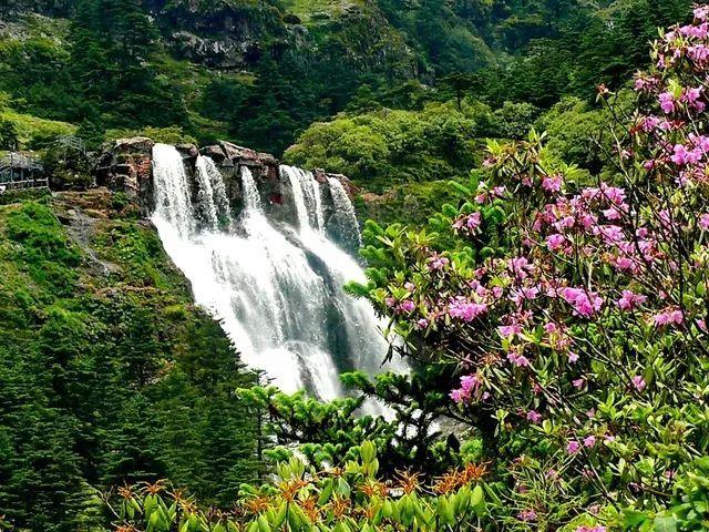“齐鲁潮集　世界新禧”山东年货大集启动
