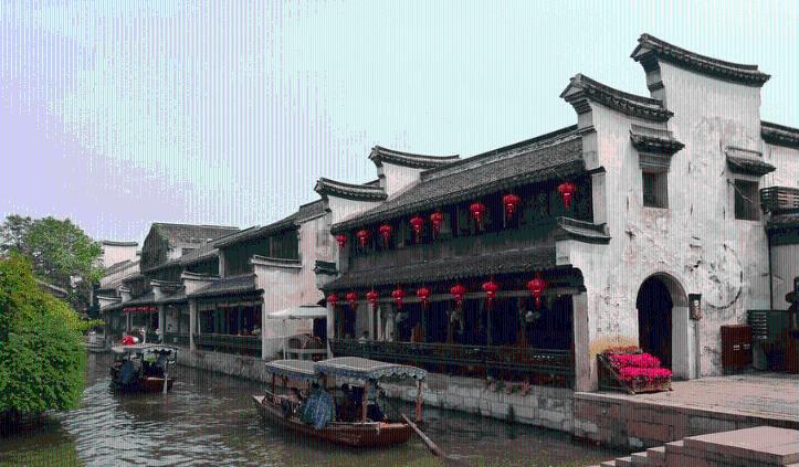 可爱的小孔雀救援